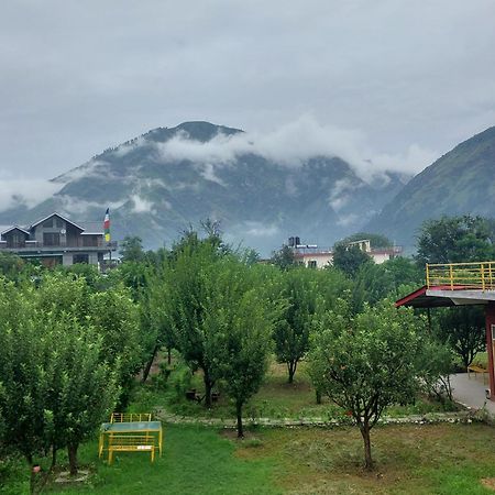Gazing Moon Homestay Shamshi Екстериор снимка